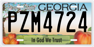 GA license plate PZM4724