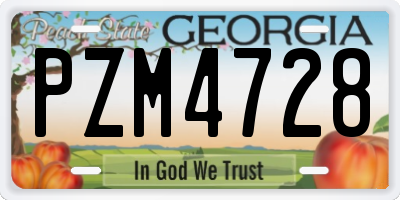GA license plate PZM4728