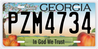 GA license plate PZM4734