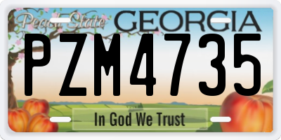 GA license plate PZM4735