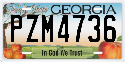 GA license plate PZM4736