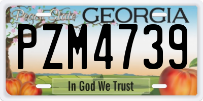GA license plate PZM4739