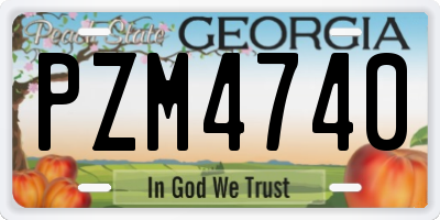 GA license plate PZM4740