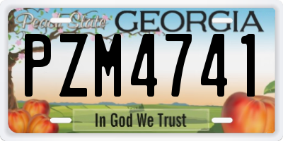 GA license plate PZM4741