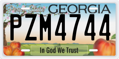 GA license plate PZM4744