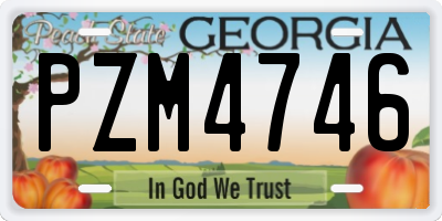 GA license plate PZM4746