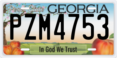 GA license plate PZM4753