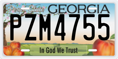 GA license plate PZM4755