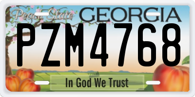 GA license plate PZM4768