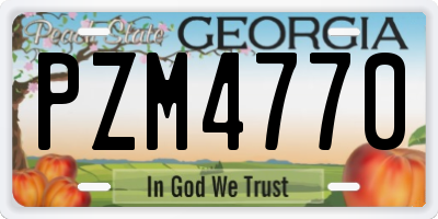 GA license plate PZM4770