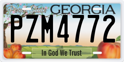 GA license plate PZM4772