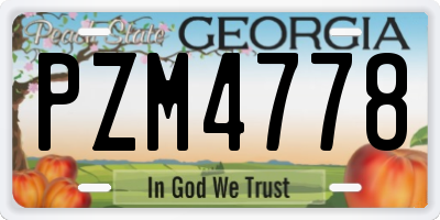 GA license plate PZM4778