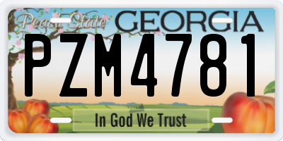 GA license plate PZM4781