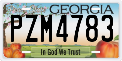 GA license plate PZM4783