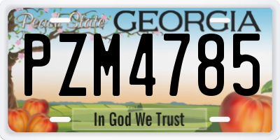 GA license plate PZM4785