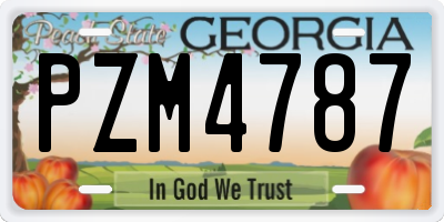 GA license plate PZM4787