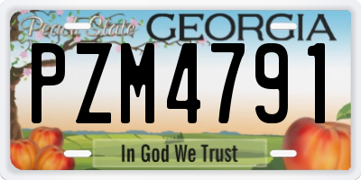 GA license plate PZM4791