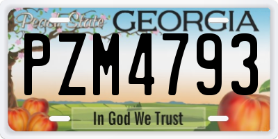 GA license plate PZM4793