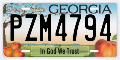 GA license plate PZM4794