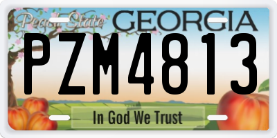 GA license plate PZM4813