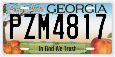 GA license plate PZM4817