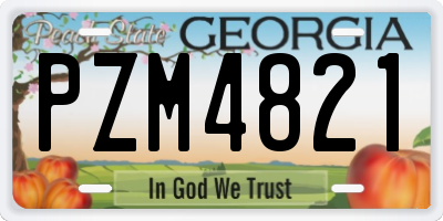 GA license plate PZM4821