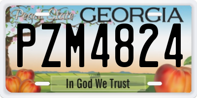 GA license plate PZM4824