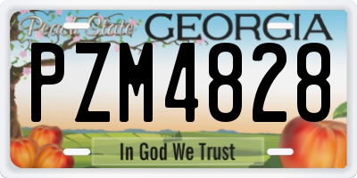 GA license plate PZM4828