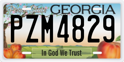 GA license plate PZM4829