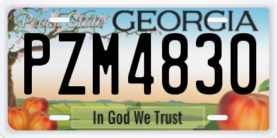 GA license plate PZM4830