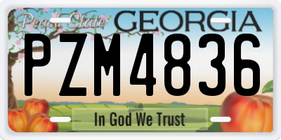 GA license plate PZM4836