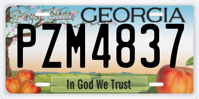 GA license plate PZM4837