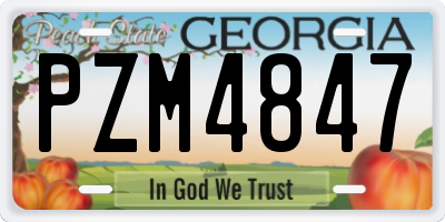 GA license plate PZM4847