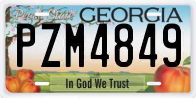 GA license plate PZM4849