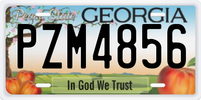 GA license plate PZM4856