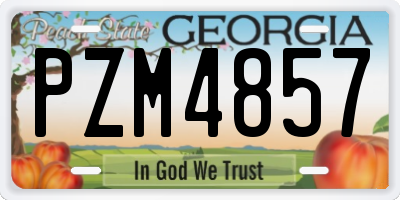 GA license plate PZM4857