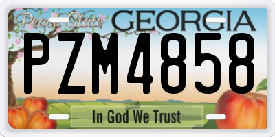 GA license plate PZM4858