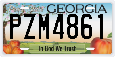 GA license plate PZM4861