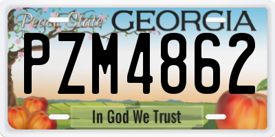 GA license plate PZM4862