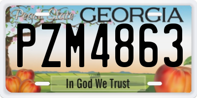 GA license plate PZM4863