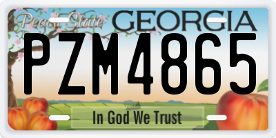 GA license plate PZM4865