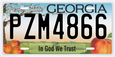 GA license plate PZM4866