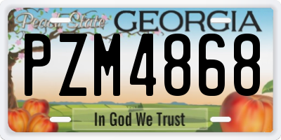 GA license plate PZM4868