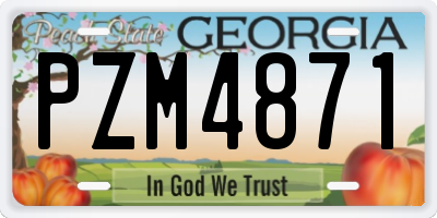 GA license plate PZM4871