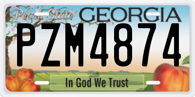 GA license plate PZM4874