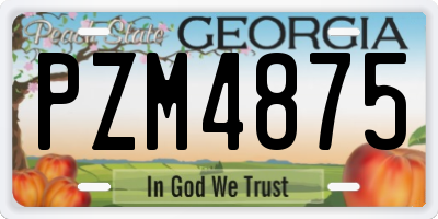 GA license plate PZM4875