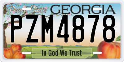 GA license plate PZM4878