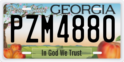 GA license plate PZM4880
