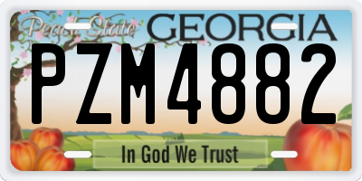 GA license plate PZM4882