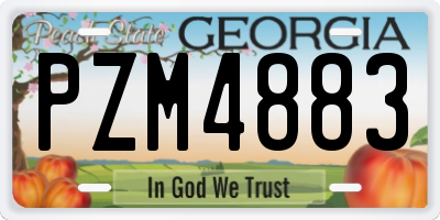GA license plate PZM4883